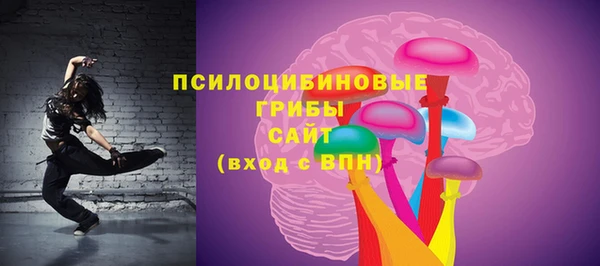 трава Арсеньев