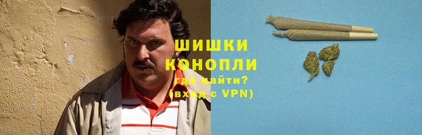 трава Арсеньев