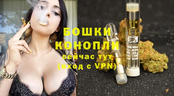 трава Арсеньев