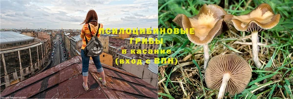 jwh Аркадак