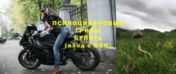 трава Арсеньев