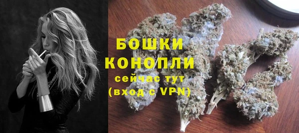 трава Арсеньев