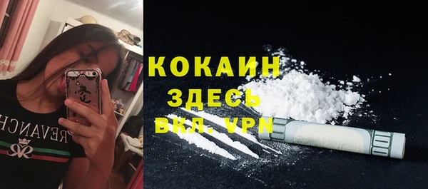 трава Арсеньев